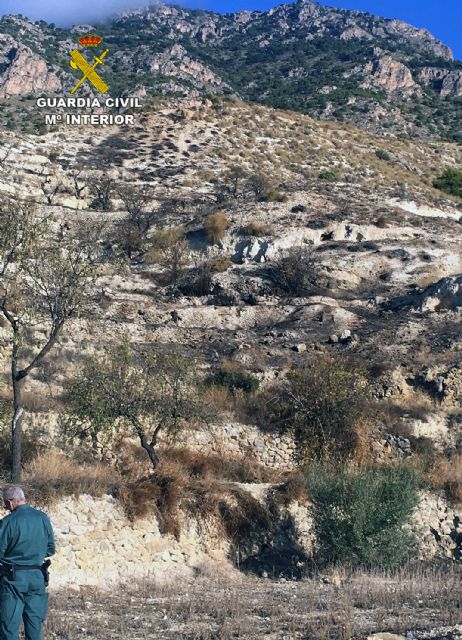 La Guardia Civil investiga a una persona por un incendio forestal en Fortuna