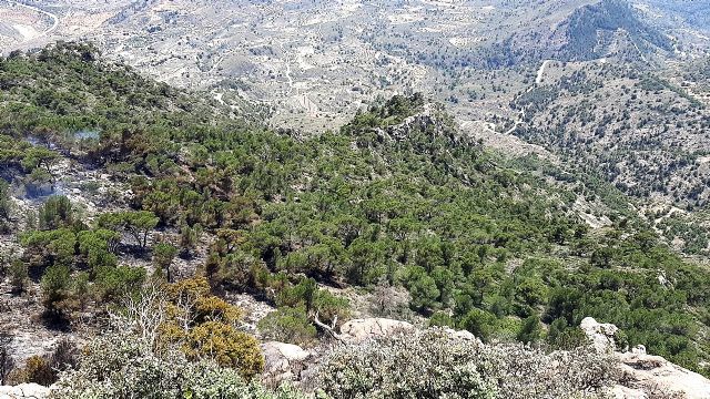 Controlado el incendio forestal en la Sierra de la Pila