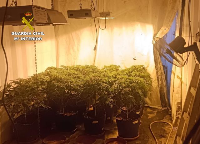 La Guardia Civil desarticula un grupo delictivo dedicado al cultivo ilícito de marihuana en Fortuna