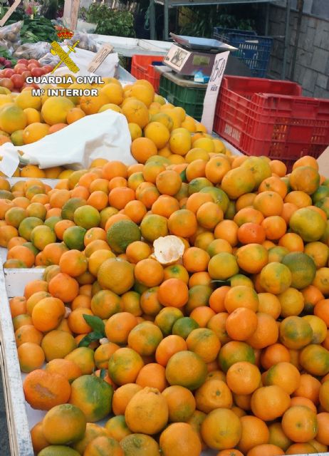 La Guardia Civil detiene a tres personas por la sustracción de una tonelada y media de mandarinas