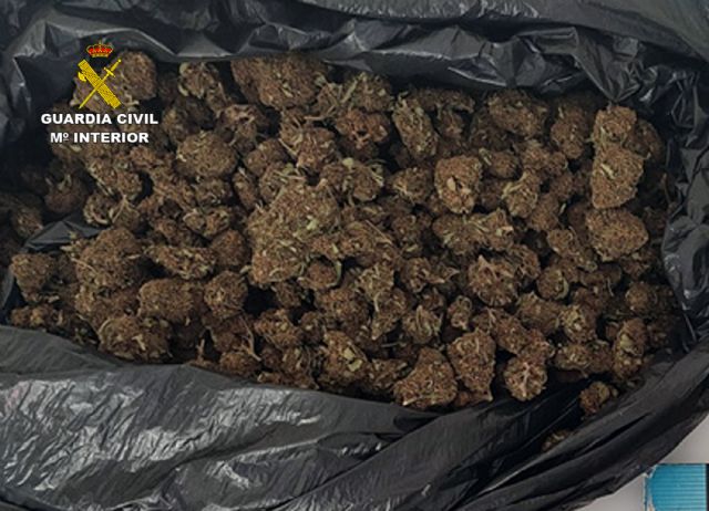 La Guardia Civil desmantela en Fortuna un grupo delictivo dedicado al cultivo ilícito de marihuana