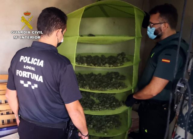 La Guardia Civil desmantela en Fortuna un grupo dedicado al cultivo ilícito de marihuana